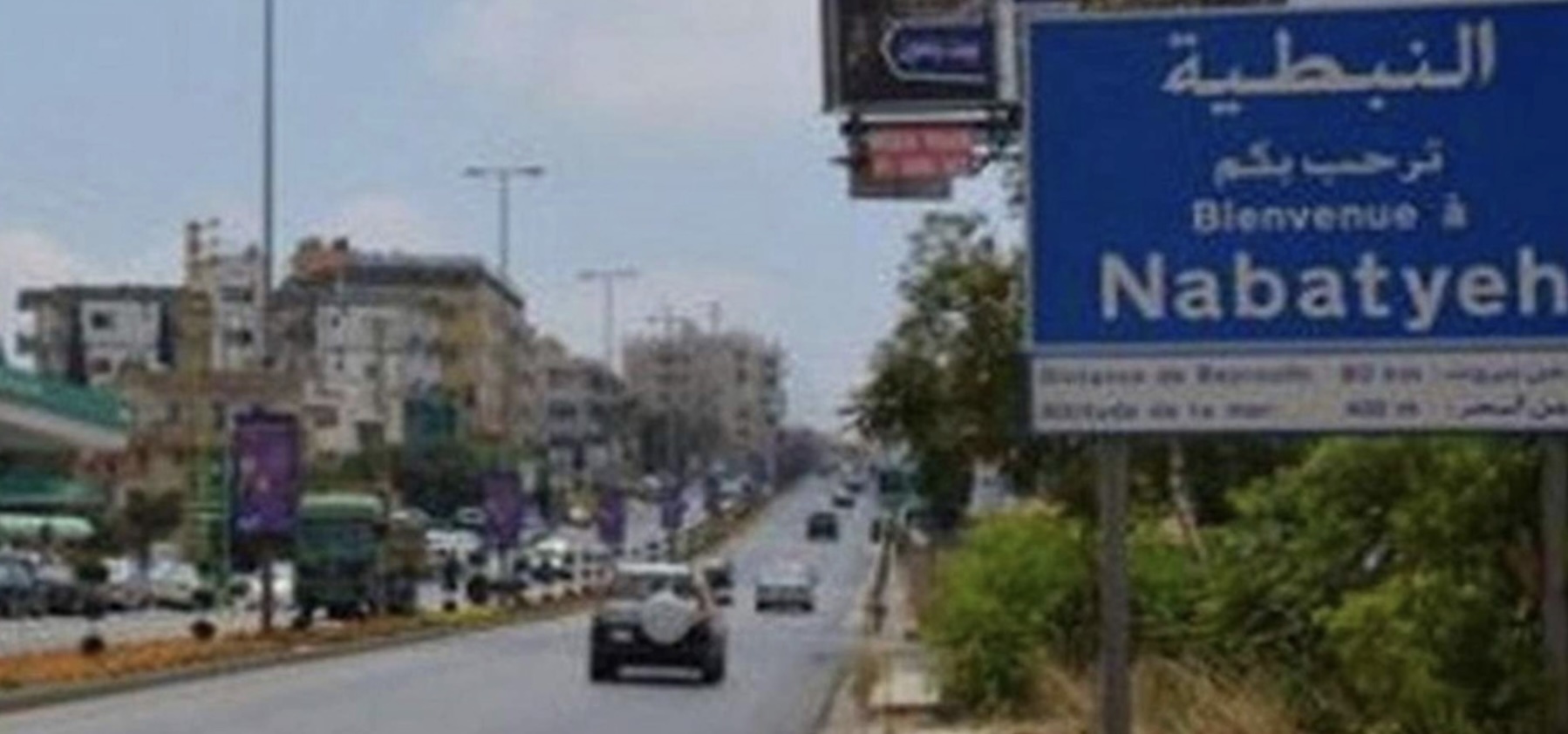 النبطية