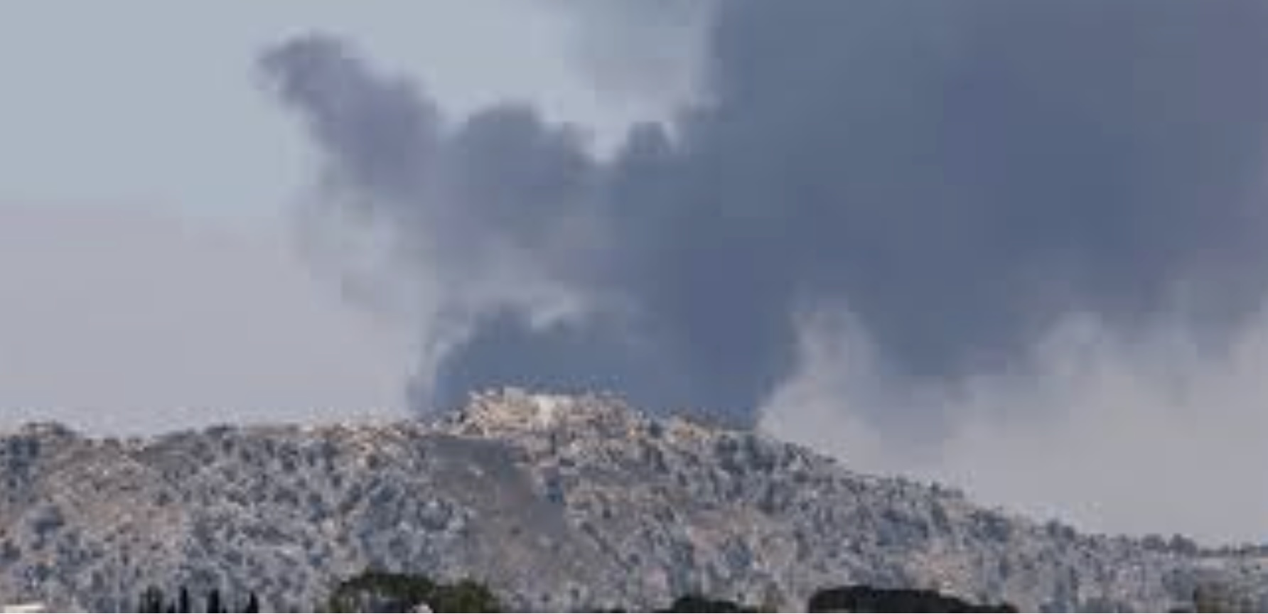 علي الطاهر
