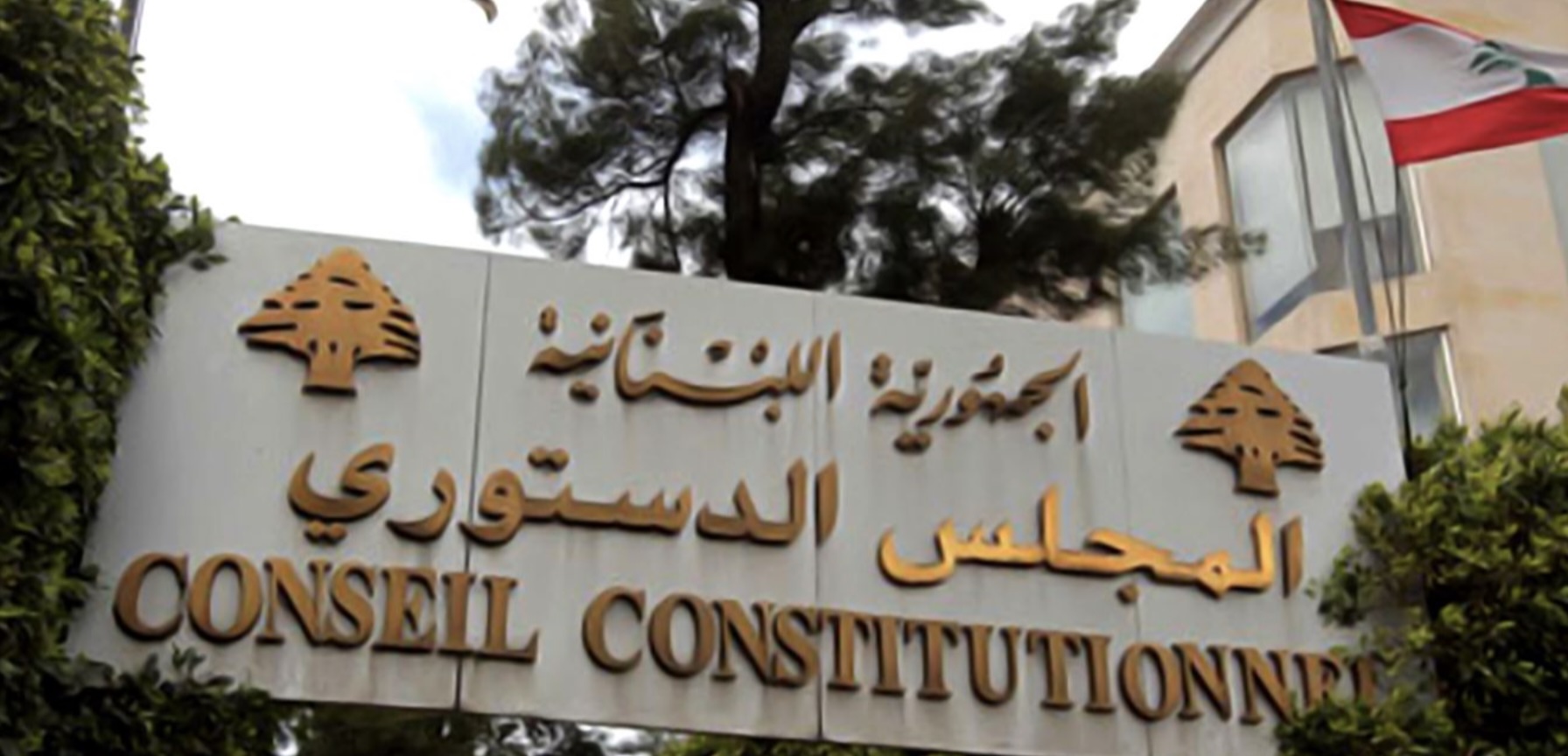 المجلس الدستوري