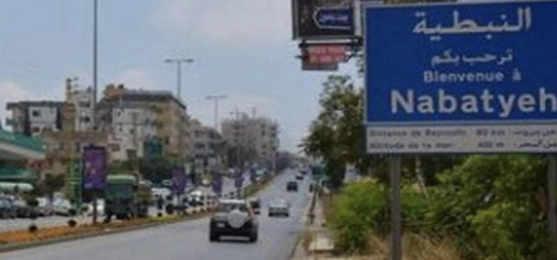 النبطية