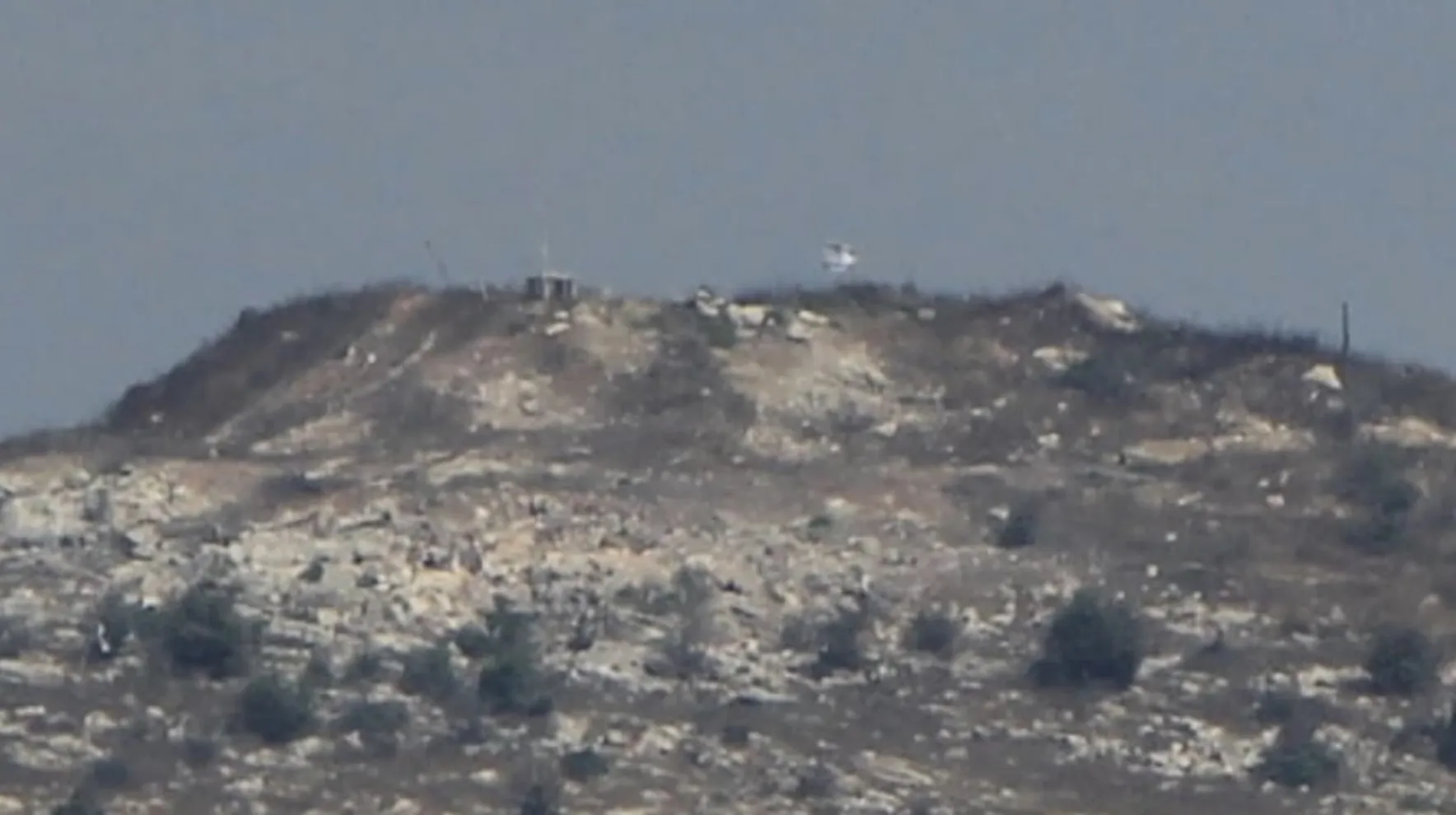 علي الطاهر